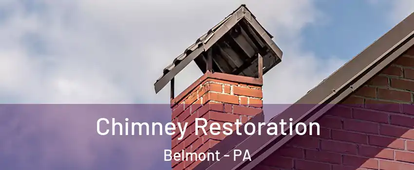 Chimney Restoration Belmont - PA