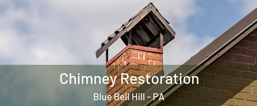 Chimney Restoration Blue Bell Hill - PA