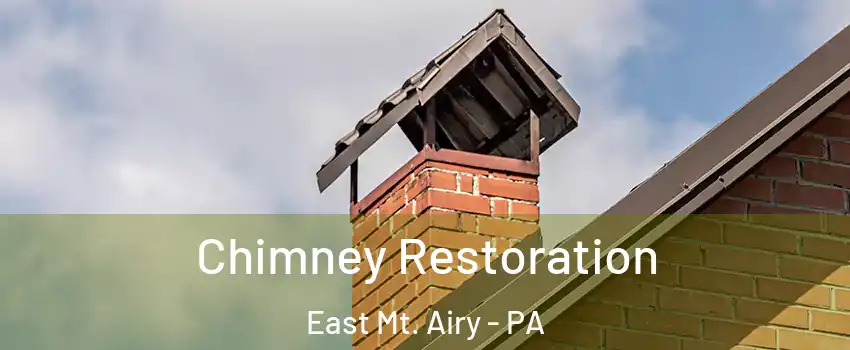 Chimney Restoration East Mt. Airy - PA
