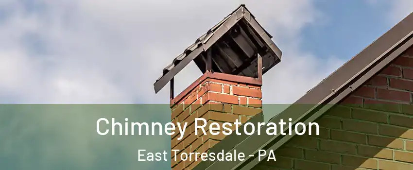 Chimney Restoration East Torresdale - PA