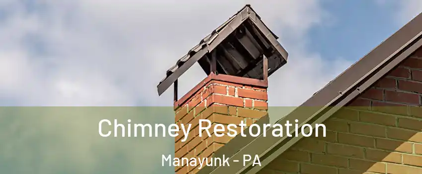 Chimney Restoration Manayunk - PA