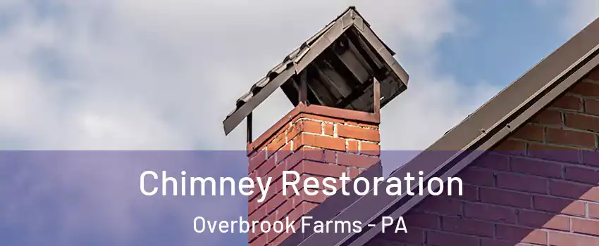 Chimney Restoration Overbrook Farms - PA