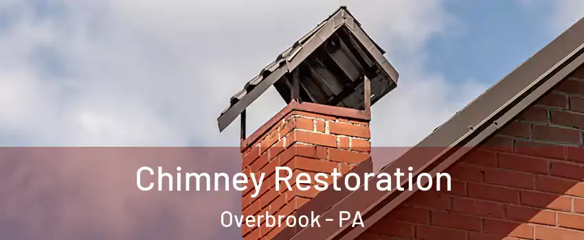 Chimney Restoration Overbrook - PA