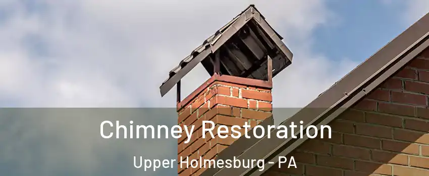 Chimney Restoration Upper Holmesburg - PA