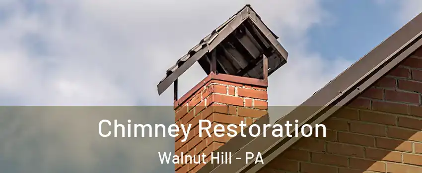 Chimney Restoration Walnut Hill - PA