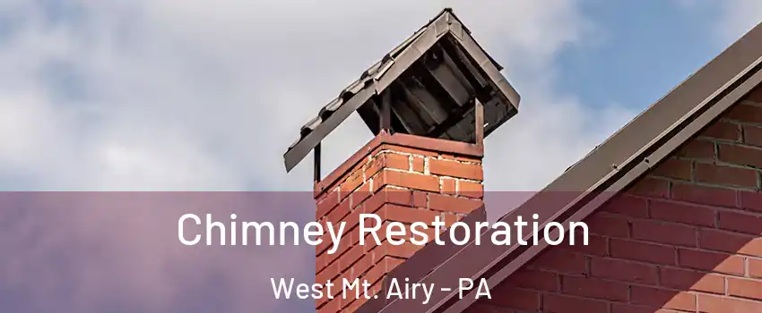 Chimney Restoration West Mt. Airy - PA