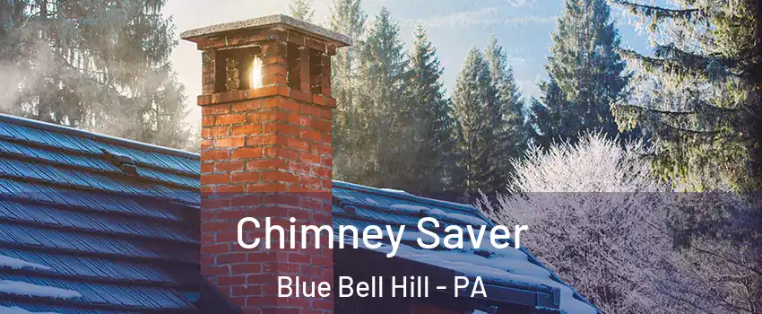 Chimney Saver Blue Bell Hill - PA