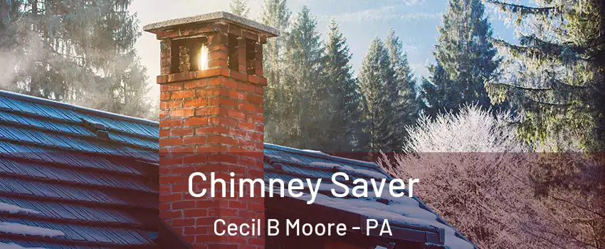 Chimney Saver Cecil B Moore - PA