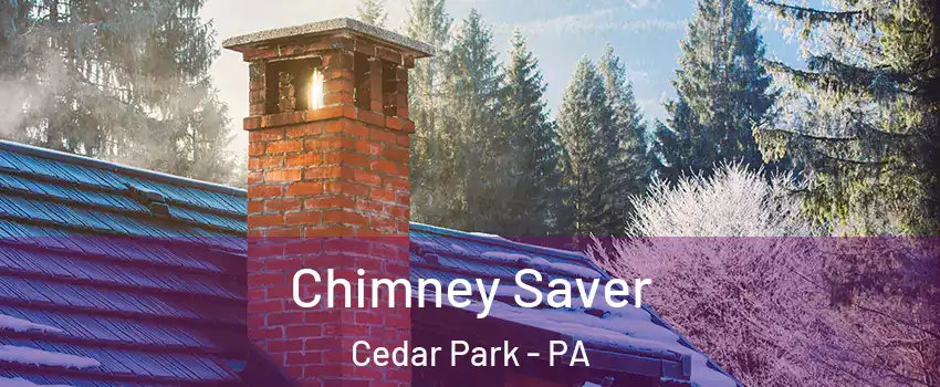 Chimney Saver Cedar Park - PA