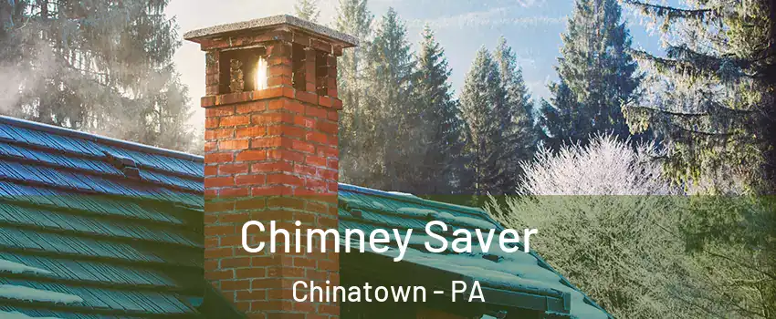 Chimney Saver Chinatown - PA