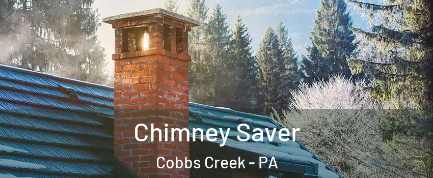 Chimney Saver Cobbs Creek - PA