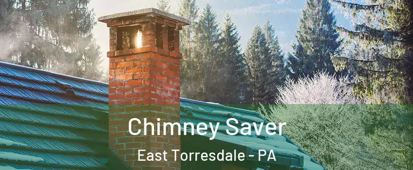 Chimney Saver East Torresdale - PA