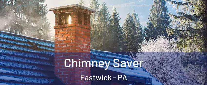 Chimney Saver Eastwick - PA