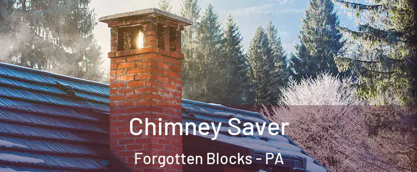Chimney Saver Forgotten Blocks - PA