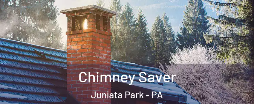 Chimney Saver Juniata Park - PA