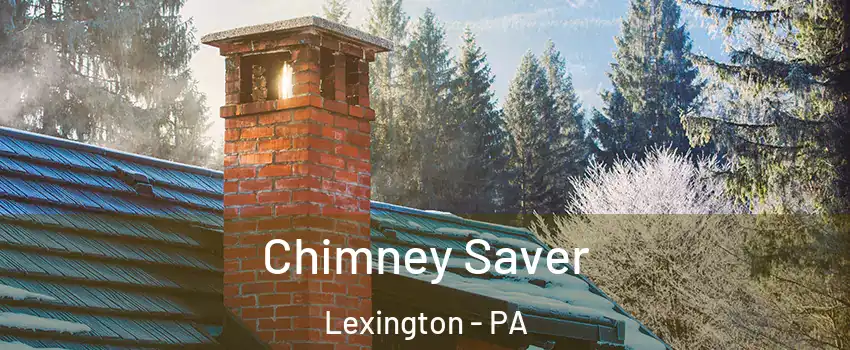 Chimney Saver Lexington - PA