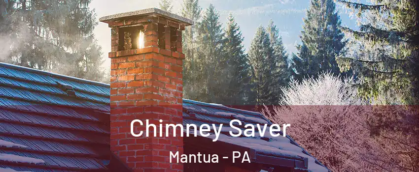 Chimney Saver Mantua - PA