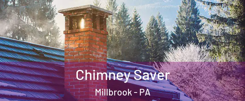 Chimney Saver Millbrook - PA
