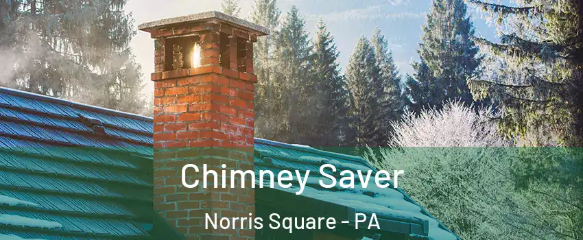 Chimney Saver Norris Square - PA