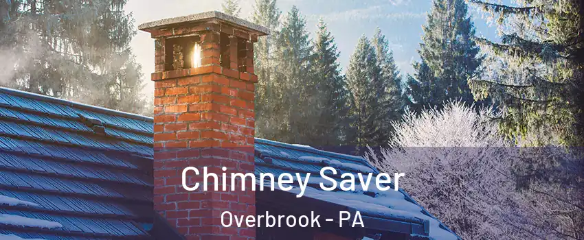 Chimney Saver Overbrook - PA