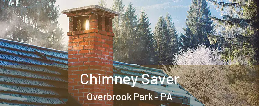 Chimney Saver Overbrook Park - PA