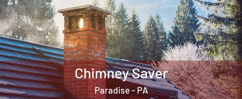 Chimney Saver Paradise - PA