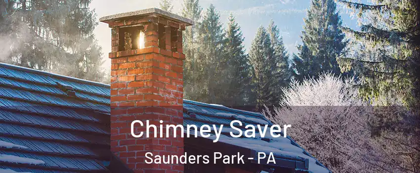 Chimney Saver Saunders Park - PA