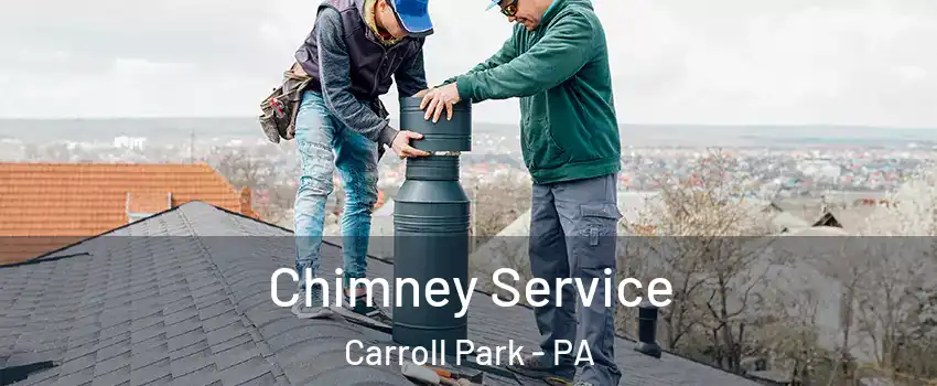 Chimney Service Carroll Park - PA