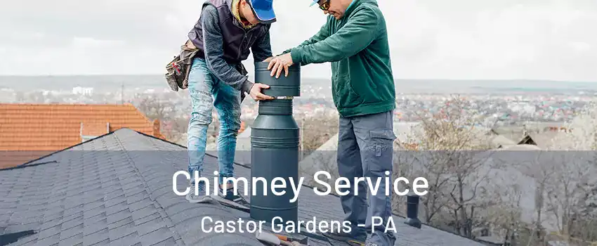 Chimney Service Castor Gardens - PA