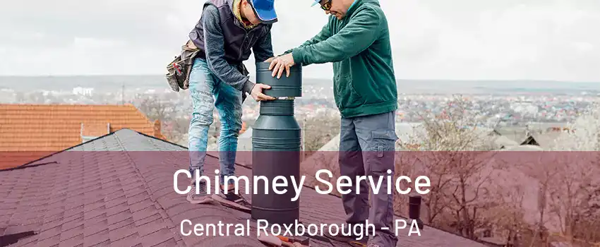 Chimney Service Central Roxborough - PA