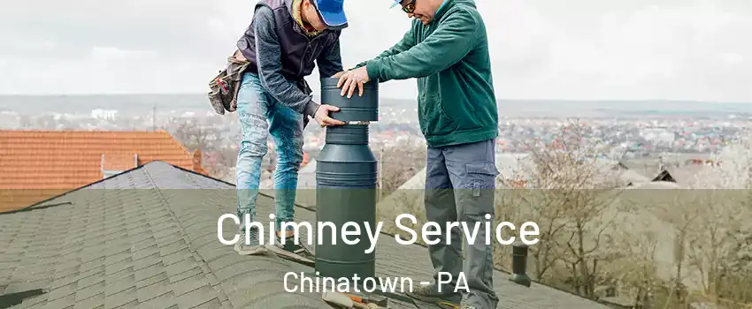Chimney Service Chinatown - PA