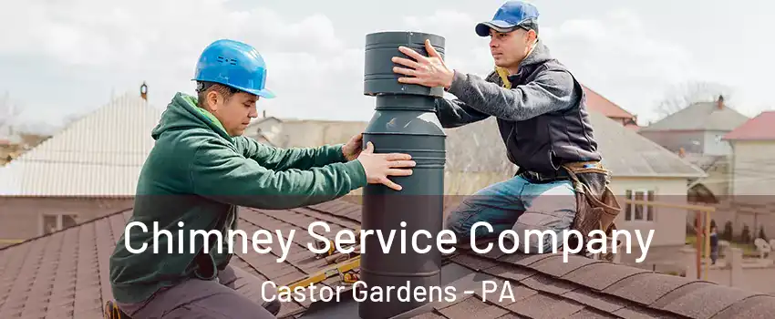 Chimney Service Company Castor Gardens - PA