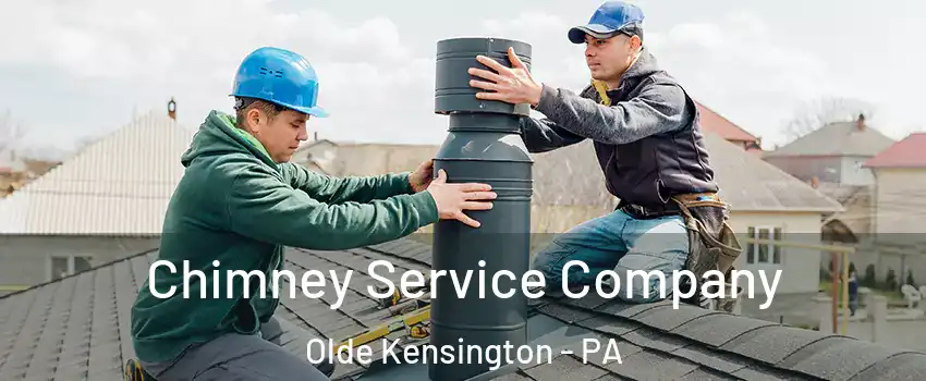Chimney Service Company Olde Kensington - PA
