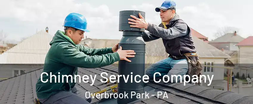 Chimney Service Company Overbrook Park - PA
