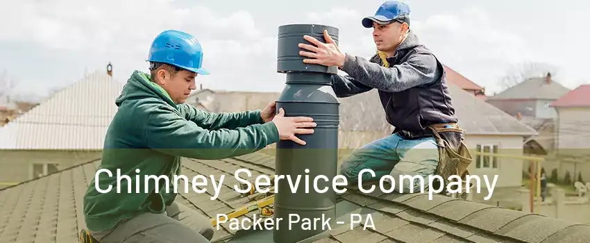 Chimney Service Company Packer Park - PA