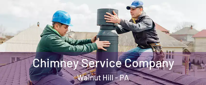 Chimney Service Company Walnut Hill - PA