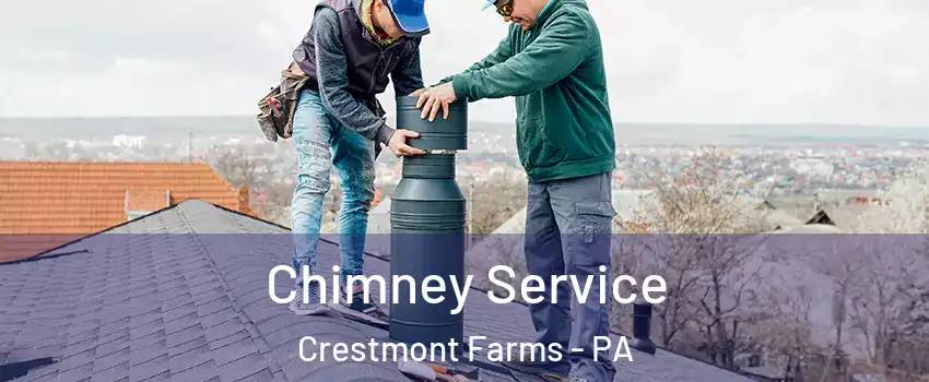 Chimney Service Crestmont Farms - PA