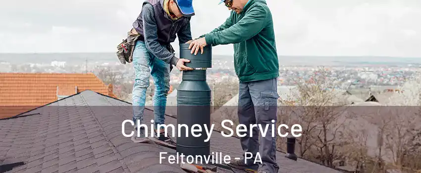 Chimney Service Feltonville - PA