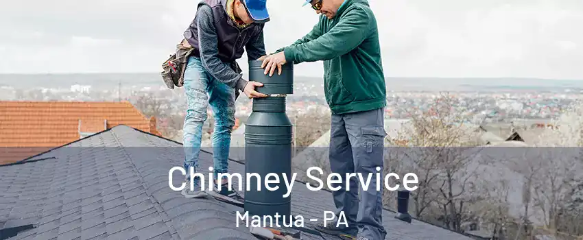 Chimney Service Mantua - PA