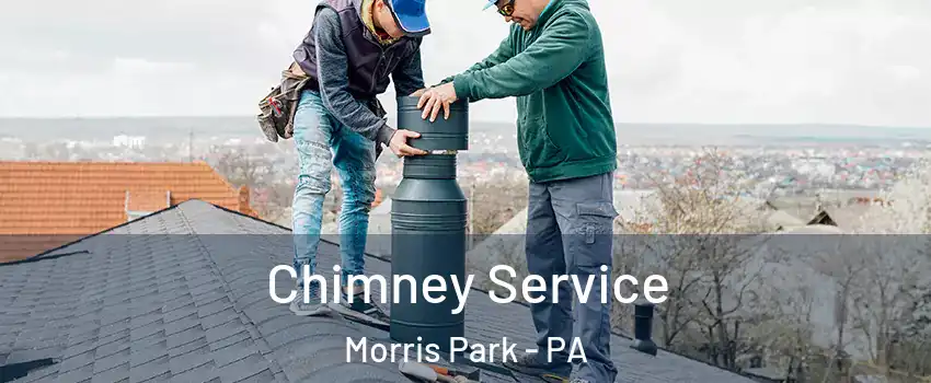 Chimney Service Morris Park - PA