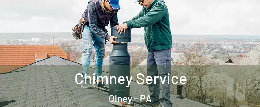 Chimney Service Olney - PA