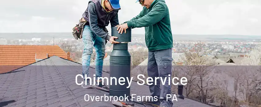 Chimney Service Overbrook Farms - PA