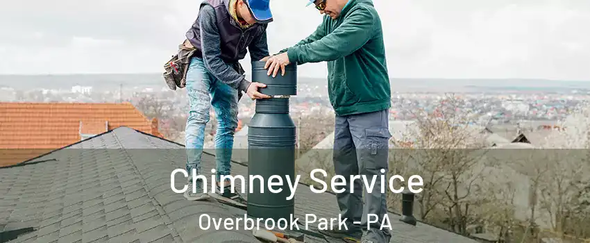Chimney Service Overbrook Park - PA
