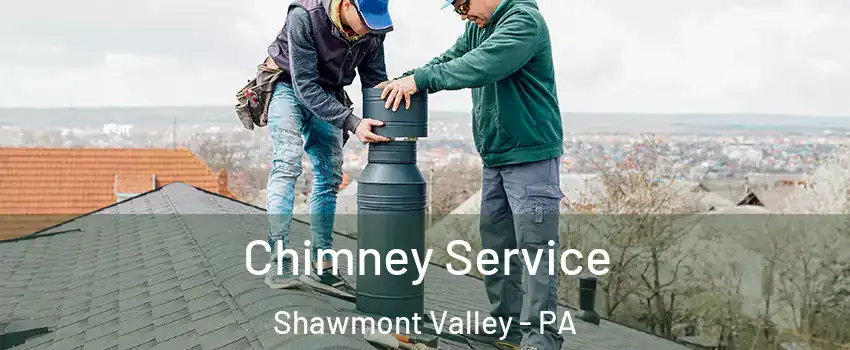 Chimney Service Shawmont Valley - PA