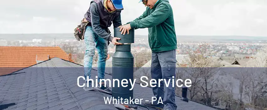 Chimney Service Whitaker - PA