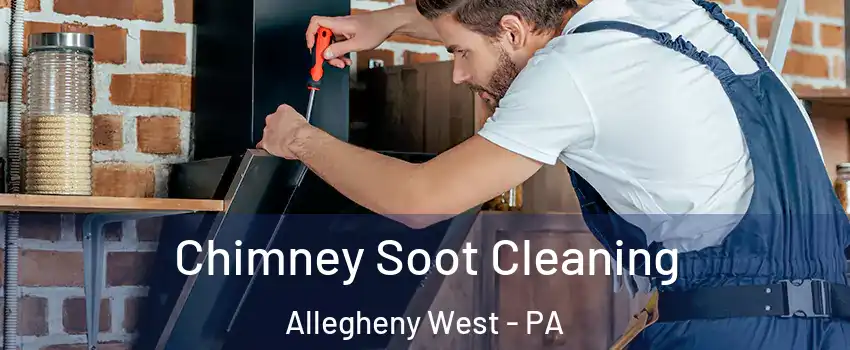 Chimney Soot Cleaning Allegheny West - PA