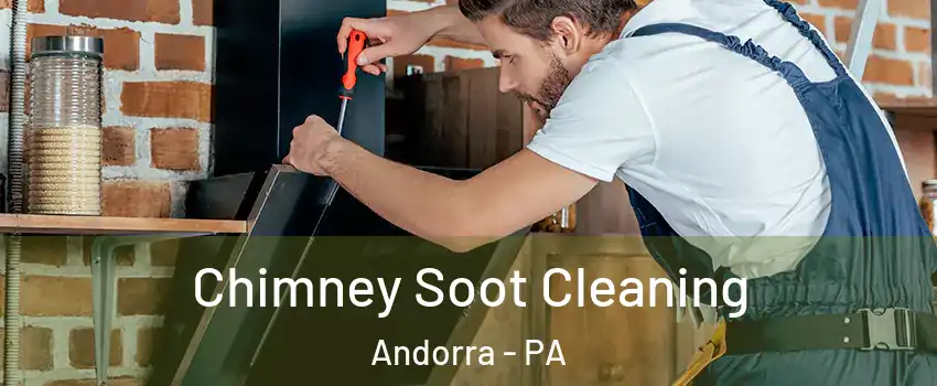 Chimney Soot Cleaning Andorra - PA
