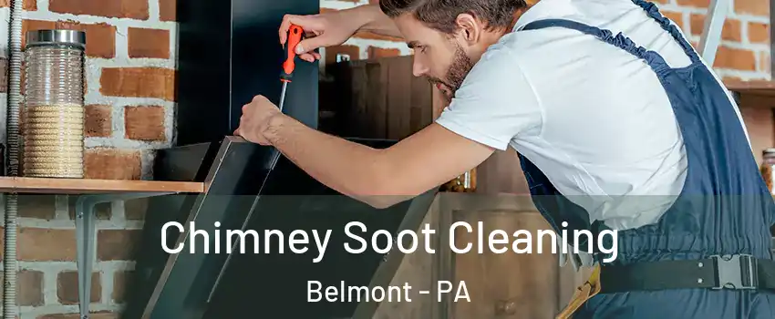 Chimney Soot Cleaning Belmont - PA