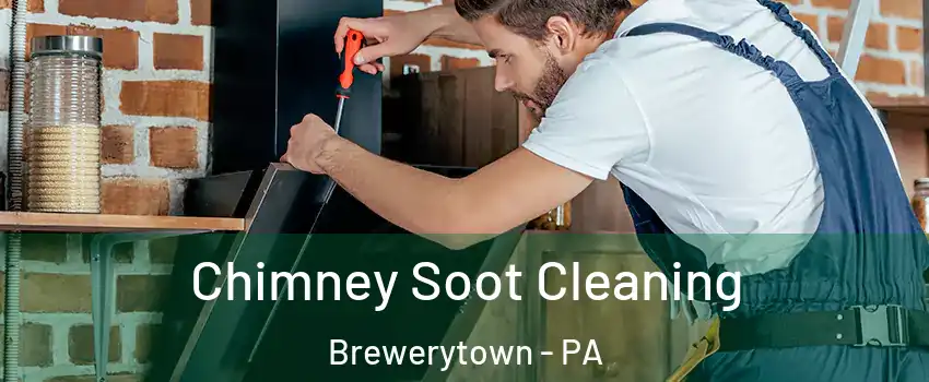 Chimney Soot Cleaning Brewerytown - PA