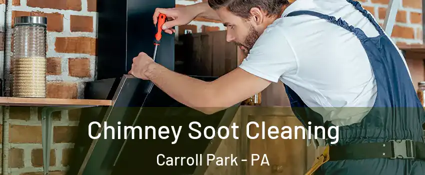 Chimney Soot Cleaning Carroll Park - PA